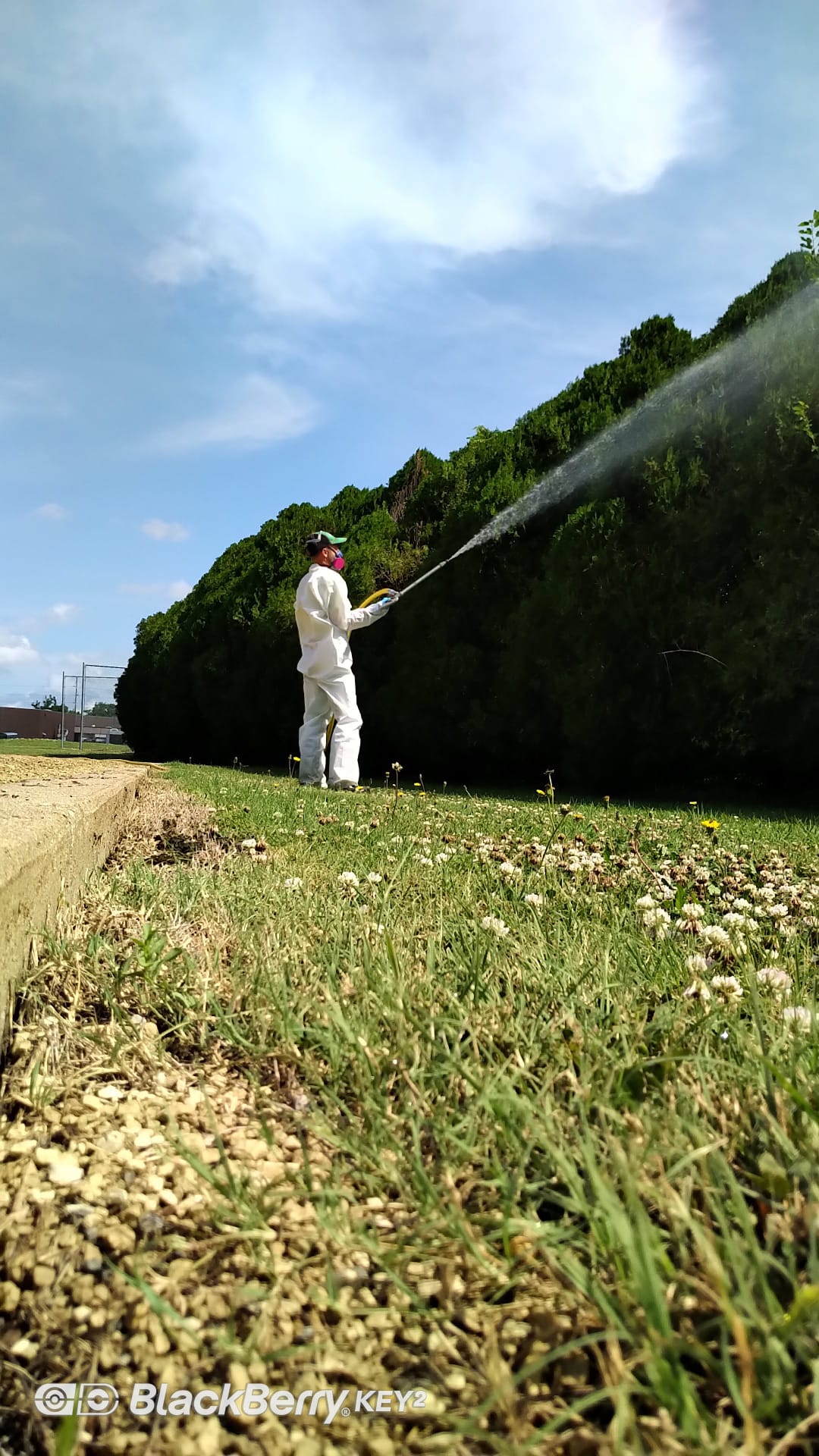 Spraying trees for pest control